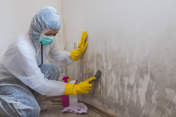 Best Crawl Space Mold Removal  in Delta Junction, AK