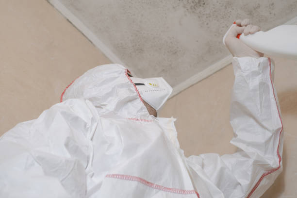 Best Mold Cleaning Services  in Delta Junction, AK